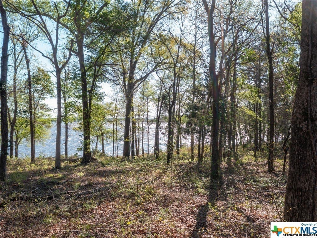 1.03 acres in Henderson County - photo 16