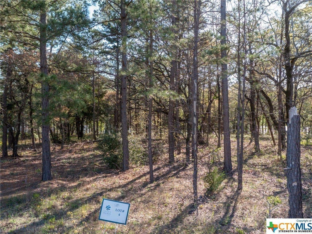 1.03 acres in Henderson County - photo 13