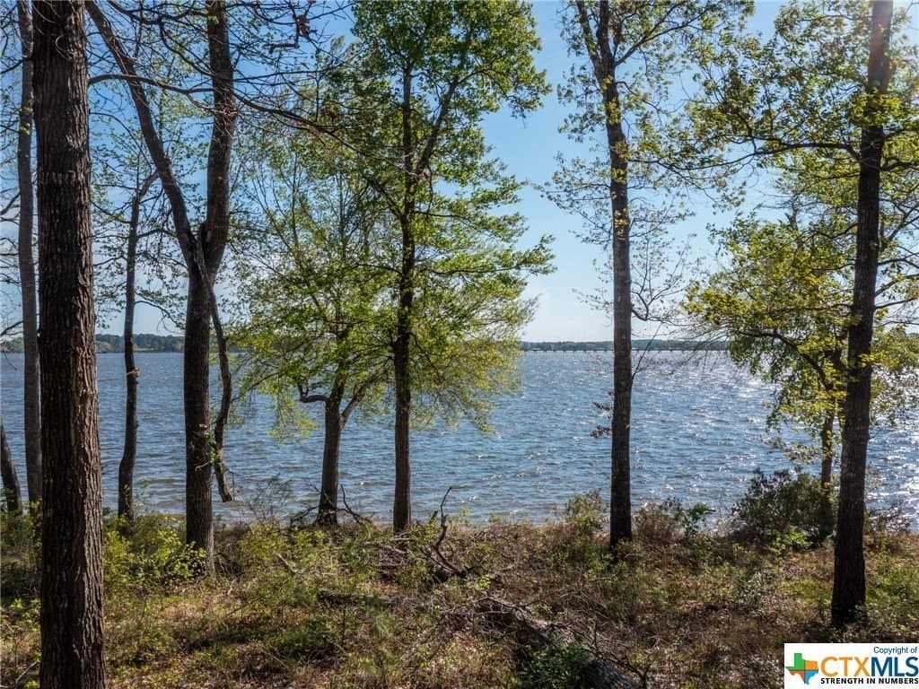1.03 acres in Henderson County - photo 17