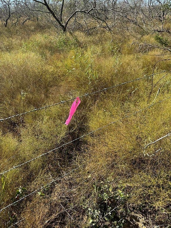 4.67 acres in Milam County - photo 5
