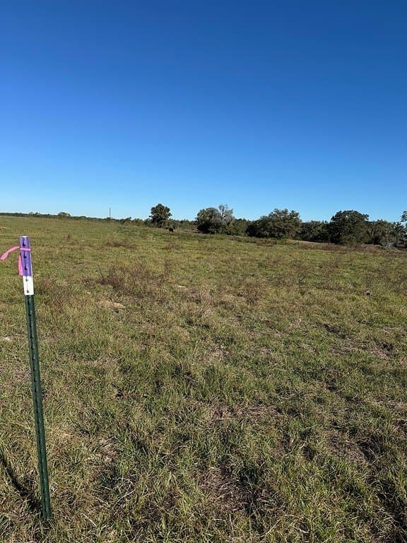 4.67 acres in Milam County - photo 4