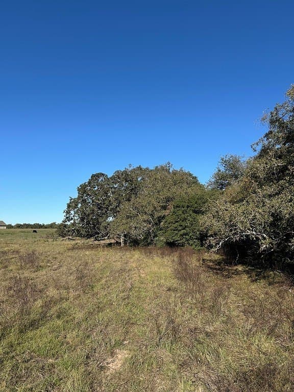 4.67 acres in Milam County - photo 2