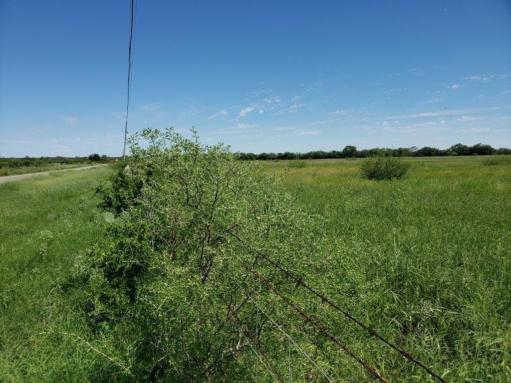 5.02 acres in Maverick County - photo 14