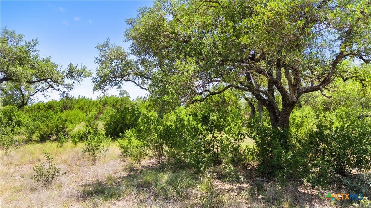 1.9 acres in Comal County - photo 4
