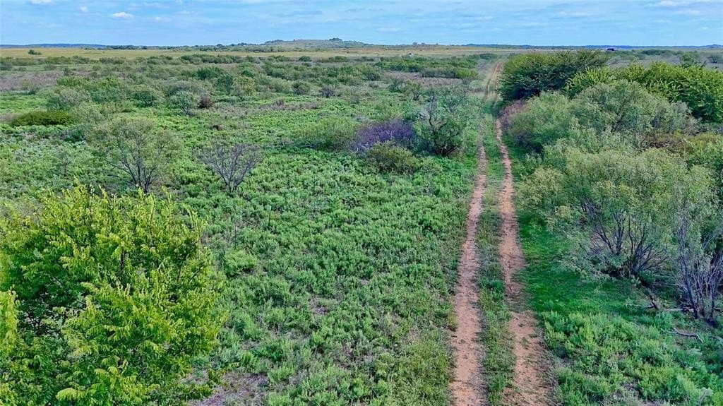 155 acres in Montague County - photo 2