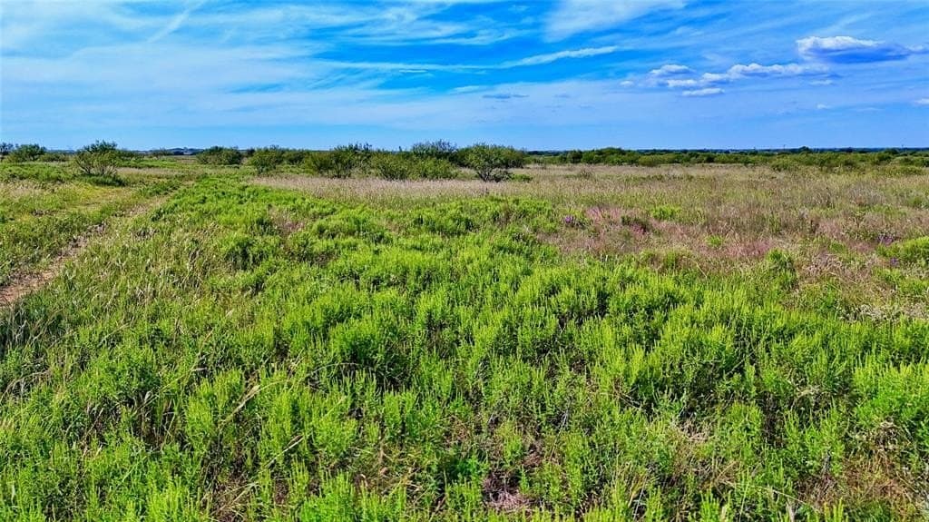 155 acres in Montague County - photo 17