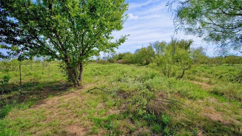 155 acres in Montague County - photo 15