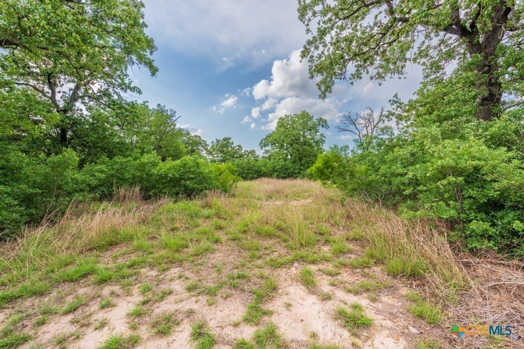 10.03 acres in Caldwell County - photo 13