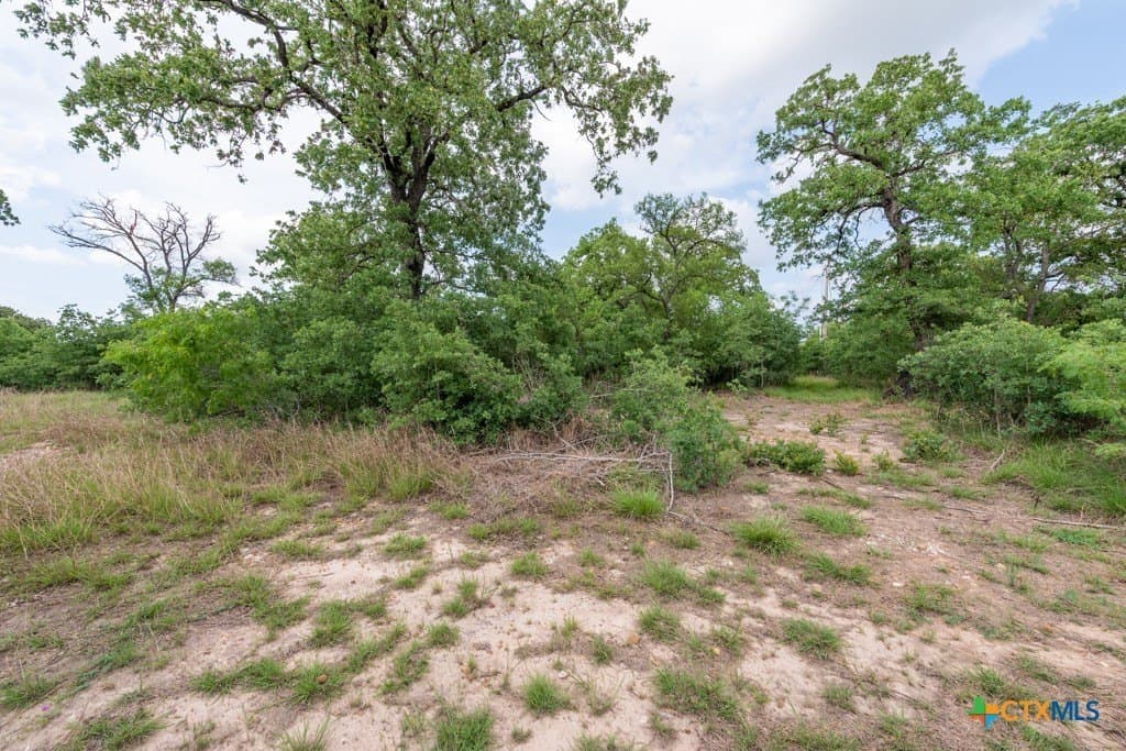 10.03 acres in Caldwell County - photo 12