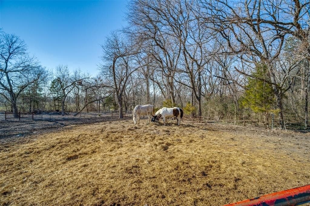 7.44 acres in Collin County - photo 7