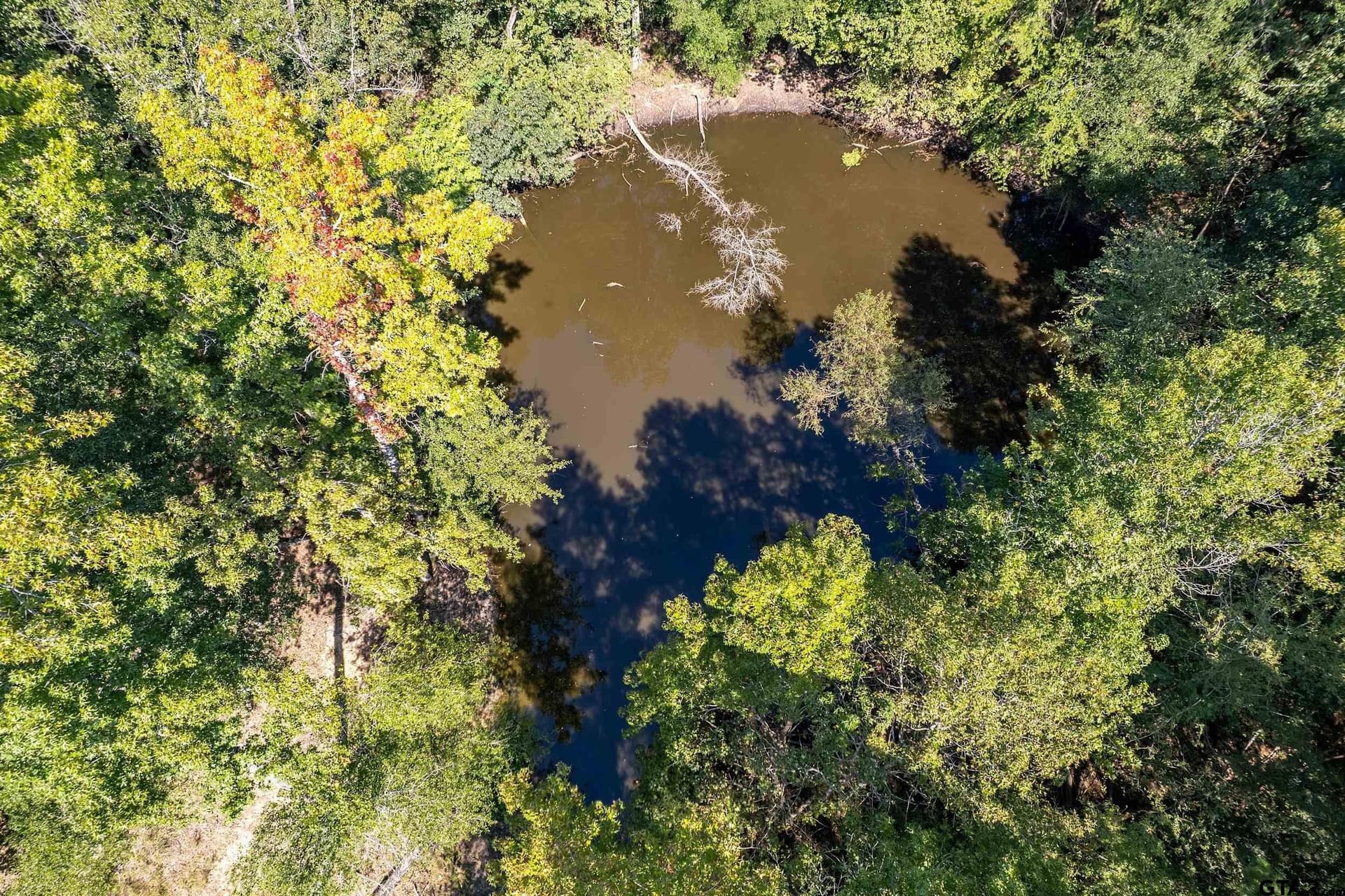 12.91 acres in Smith County - photo 43