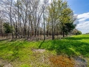 10 acres in Fannin County - photo 11
