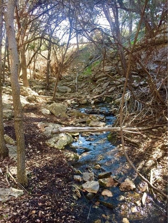 1.33 acres in Palo Pinto County - photo 2