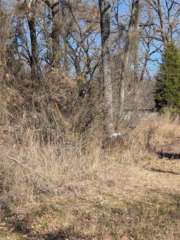 0.12 acres in Henderson County - photo 2