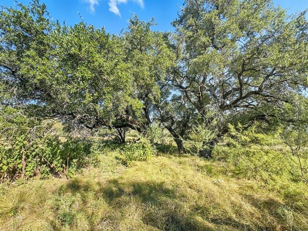 20.02 acres in Hamilton County - photo 13