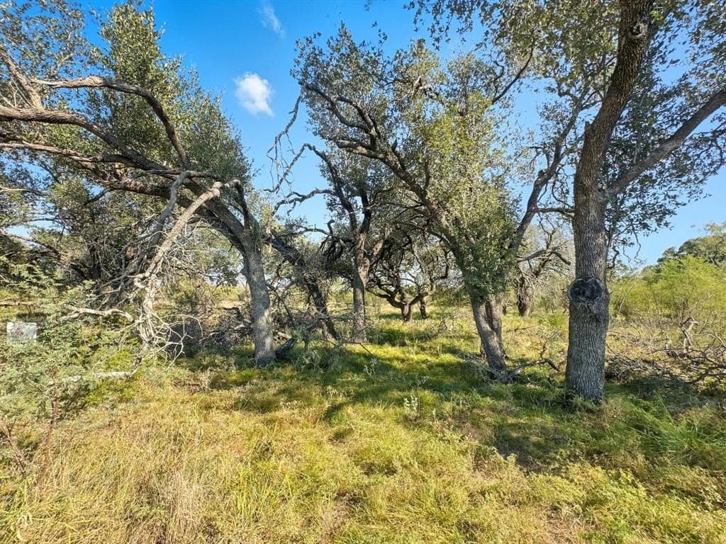 20.02 acres in Hamilton County - photo 12