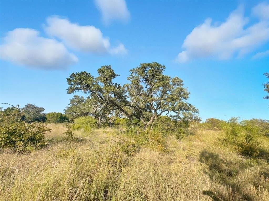20.02 acres in Hamilton County - photo 6