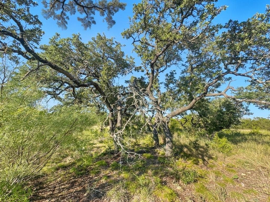 20.02 acres in Hamilton County - photo 7