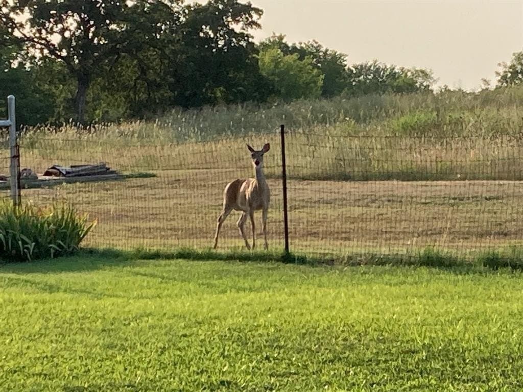 55.65 acres in Montague County - photo 37