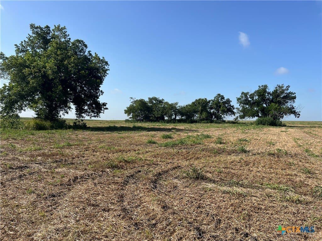89.06 acres in Bell County - photo 10