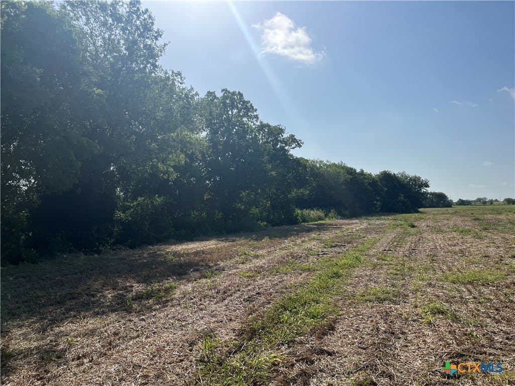 89.06 acres in Bell County - photo 11