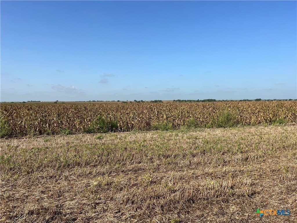 89.06 acres in Bell County - photo 14