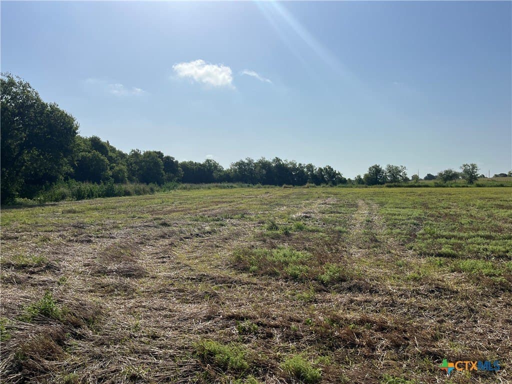 89.06 acres in Bell County - photo 18
