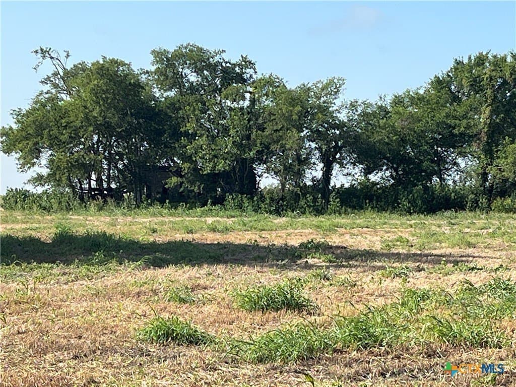 89.06 acres in Bell County - photo 9
