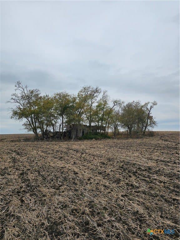 89.06 acres in Bell County - photo 16