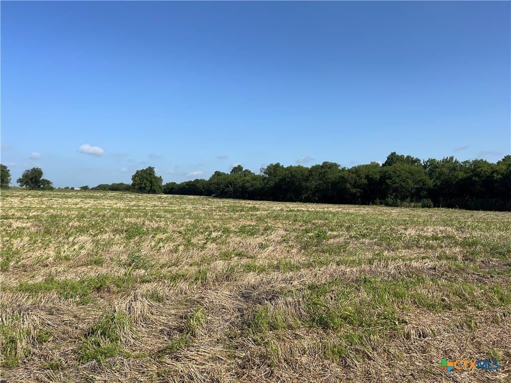 89.06 acres in Bell County - photo 17