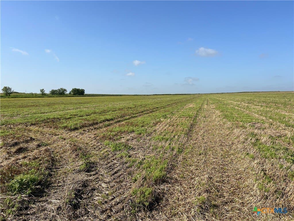 89.06 acres in Bell County - photo 19