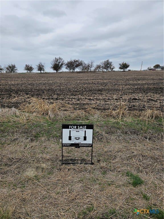 89.06 acres in Bell County - photo 8