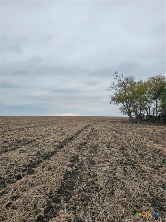 89.06 acres in Bell County - photo 15
