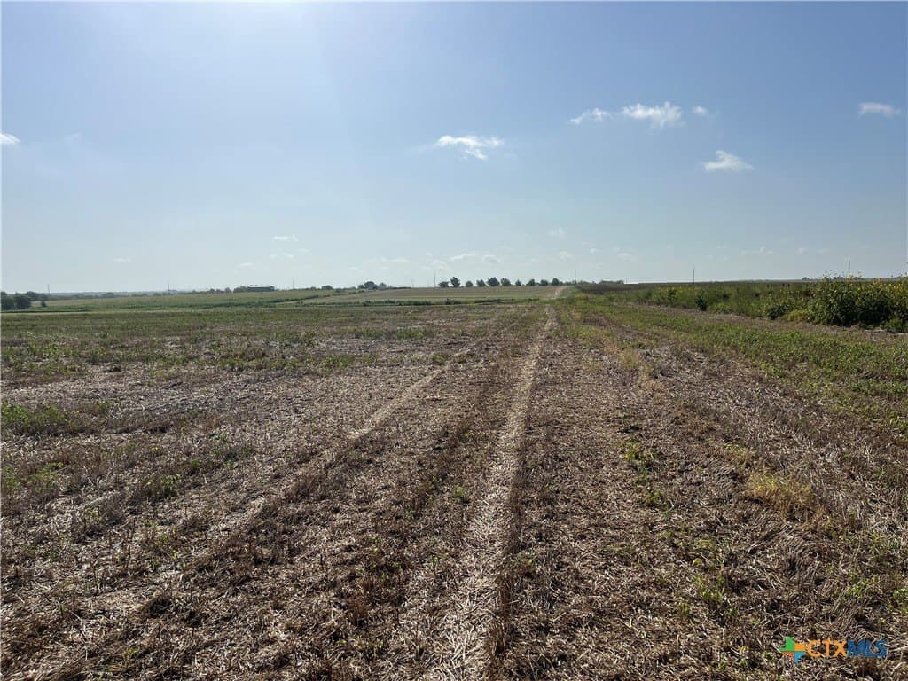89.06 acres in Bell County - photo 12