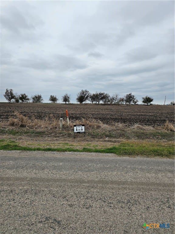 89.06 acres in Bell County - photo 7