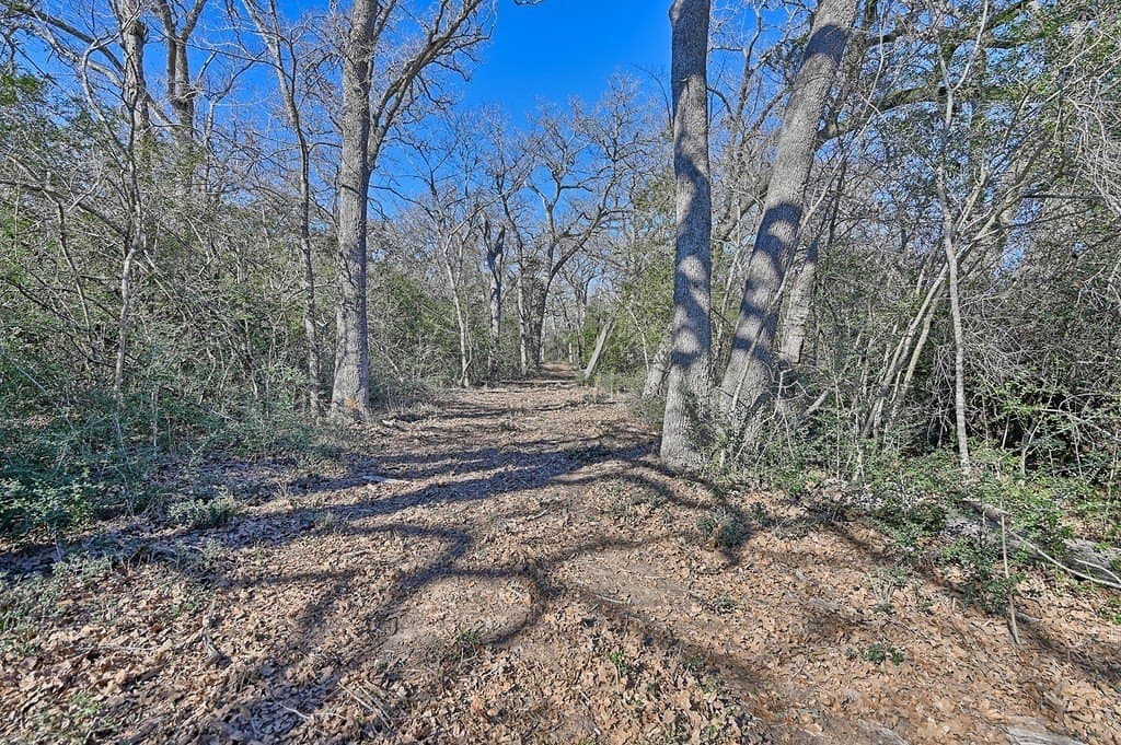 22.91 acres in Burleson County - photo 27