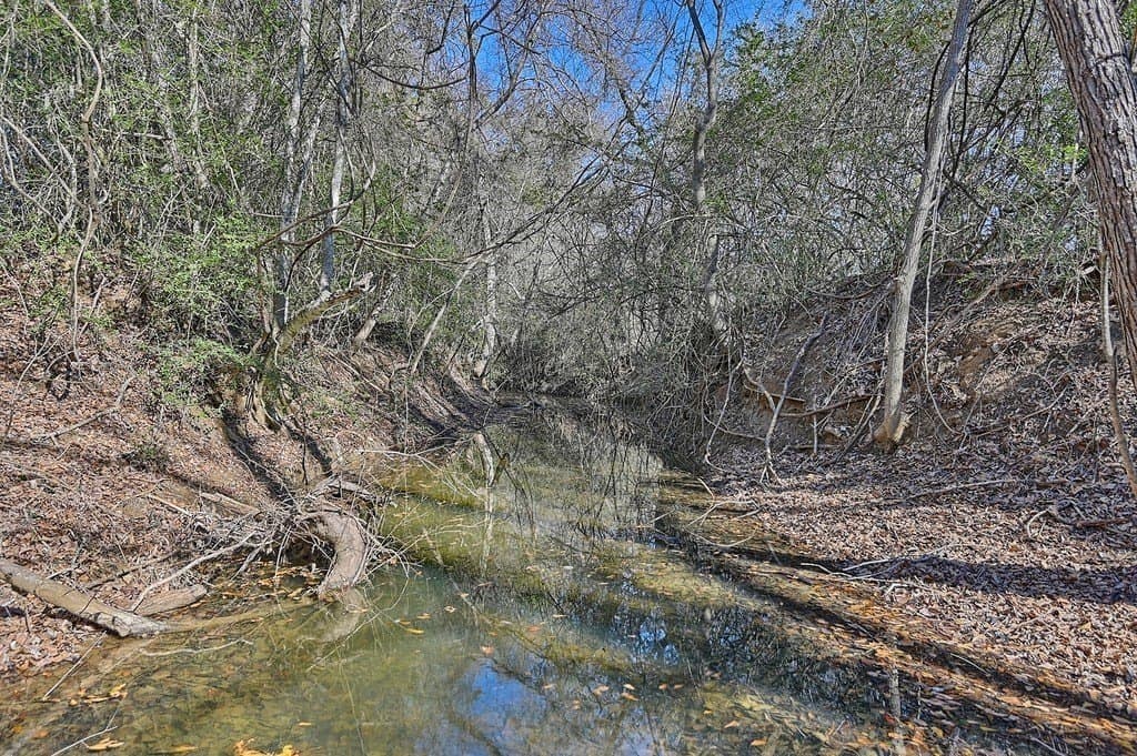 22.91 acres in Burleson County - photo 26