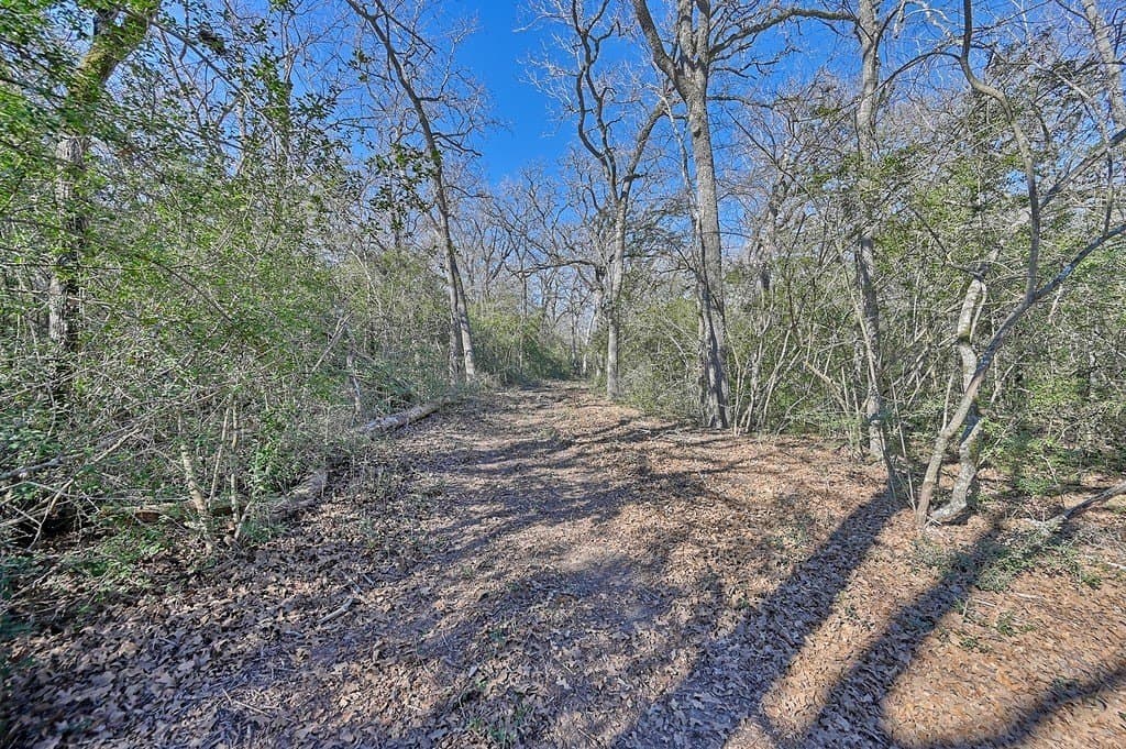 22.91 acres in Burleson County - photo 28