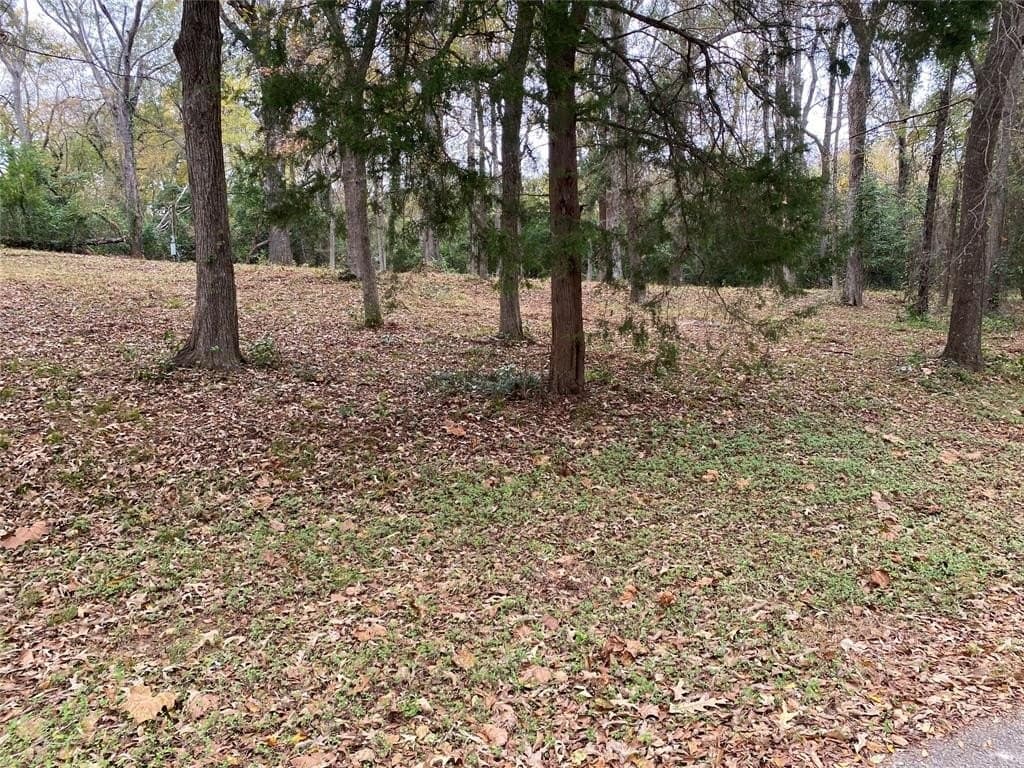 0.75 acres in Anderson County - photo 2