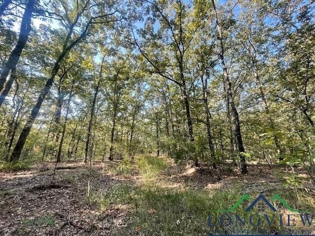 36.07 acres in Lamar County - photo 15