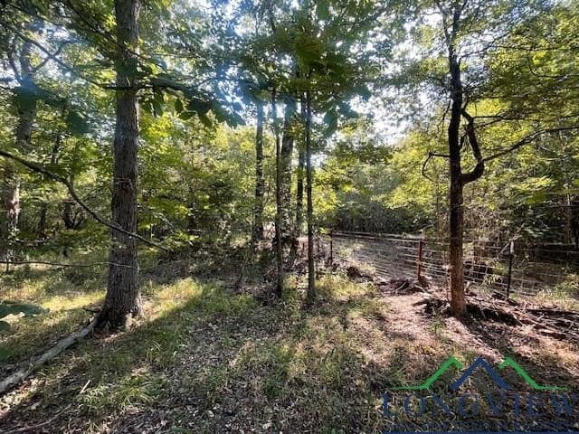 36.07 acres in Lamar County - photo 8
