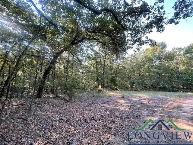 36.07 acres in Lamar County - photo 2