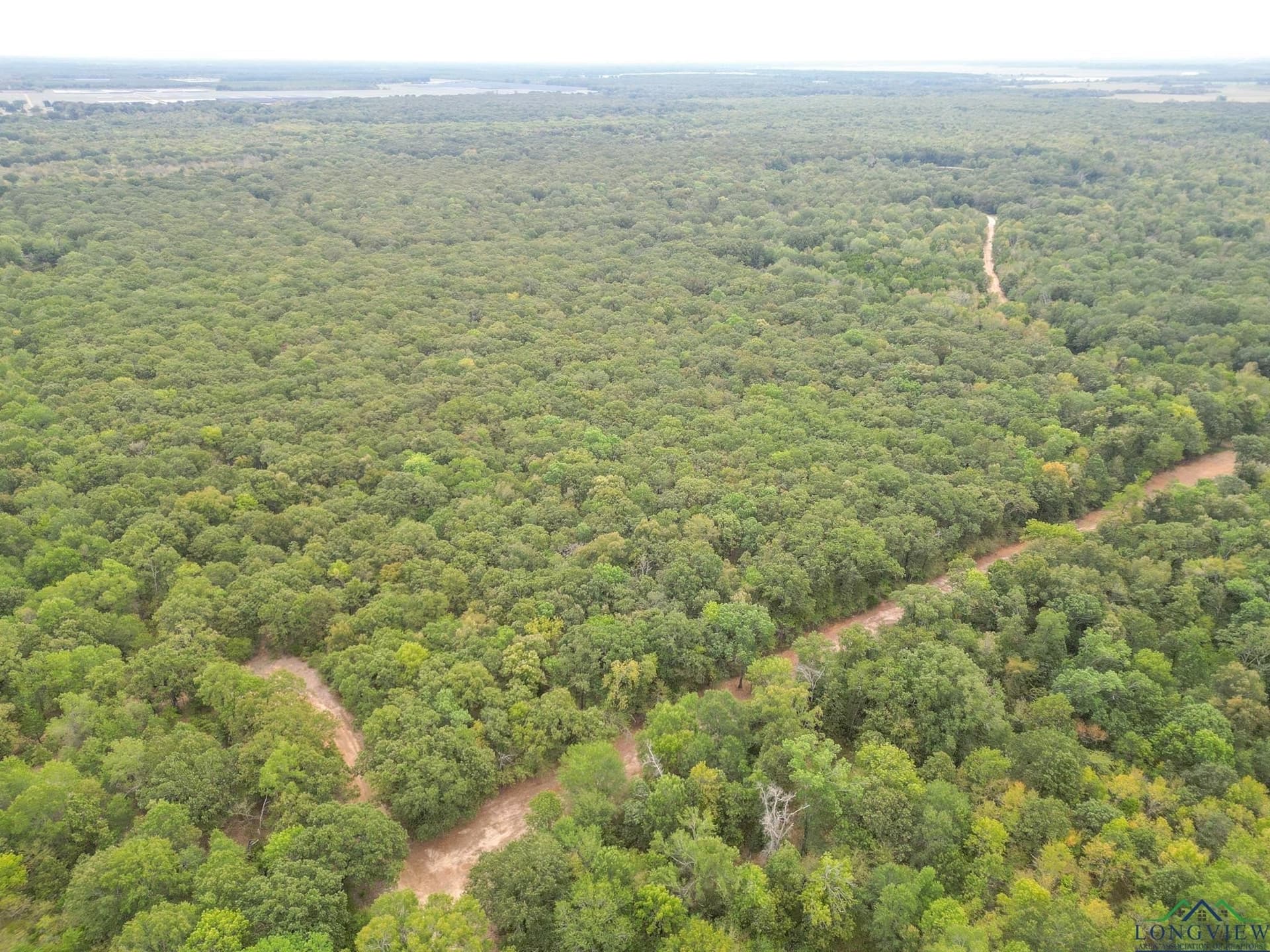 36.07 acres in Lamar County - photo 6