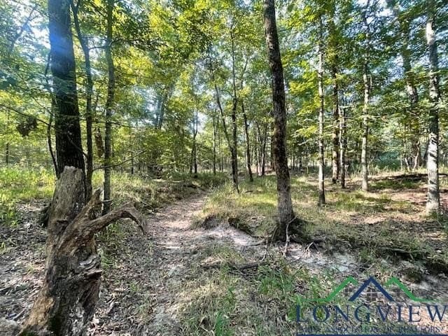 36.07 acres in Lamar County - photo 12