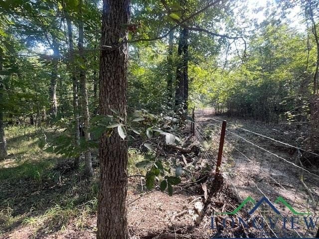 36.07 acres in Lamar County - photo 10