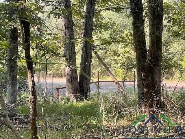 36.07 acres in Lamar County - photo 13