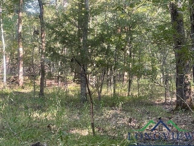 36.07 acres in Lamar County - photo 4