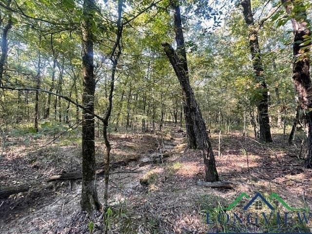 36.07 acres in Lamar County - photo 14