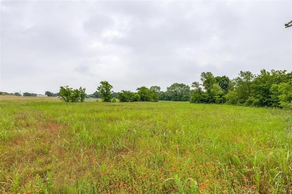 5.04 acres in Collin County - photo 4