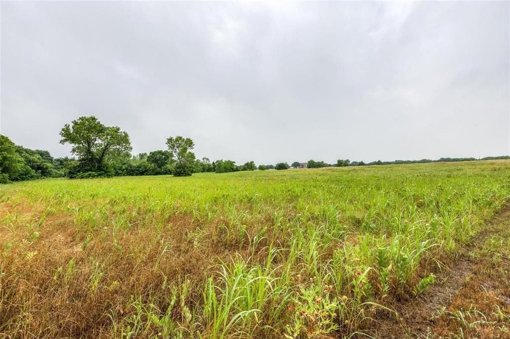 5.04 acres in Collin County - photo 7